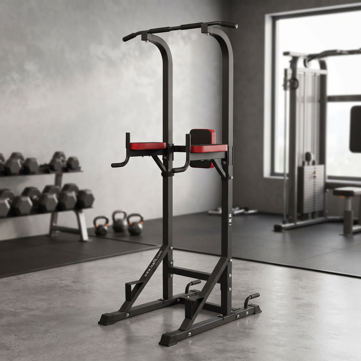 Station de Traction et Dips Multifonction