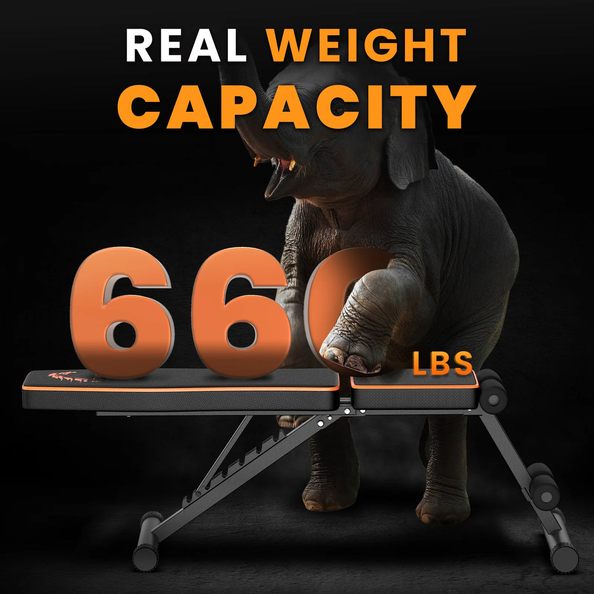 Banc de Musculation Pliable Réglable