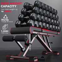 Banc de Musculation Réglable Compact