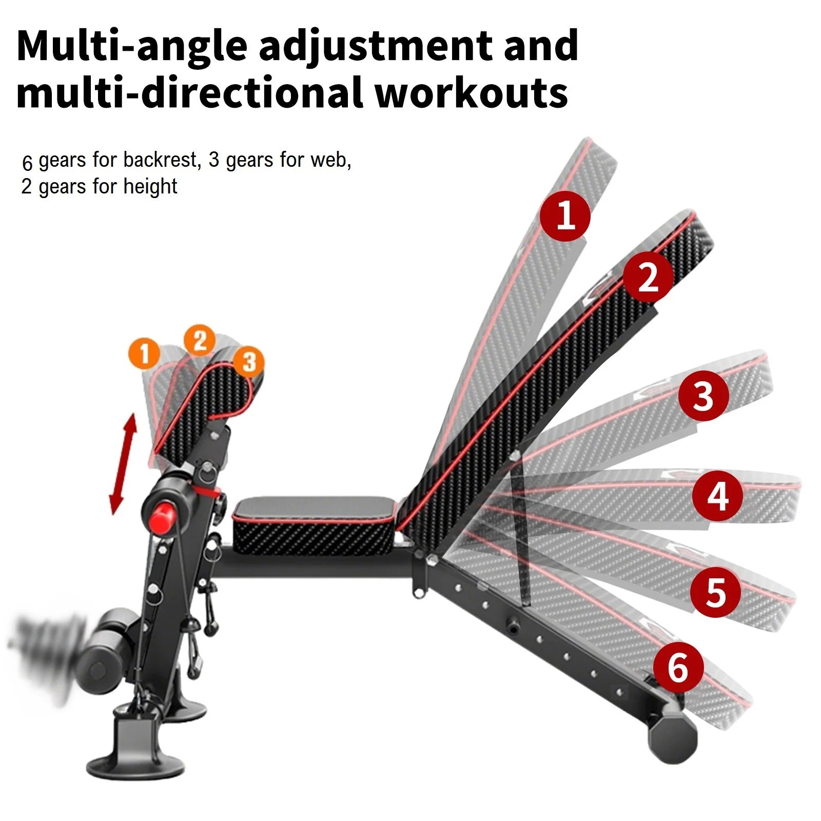 Banc de Musculation Multifonction